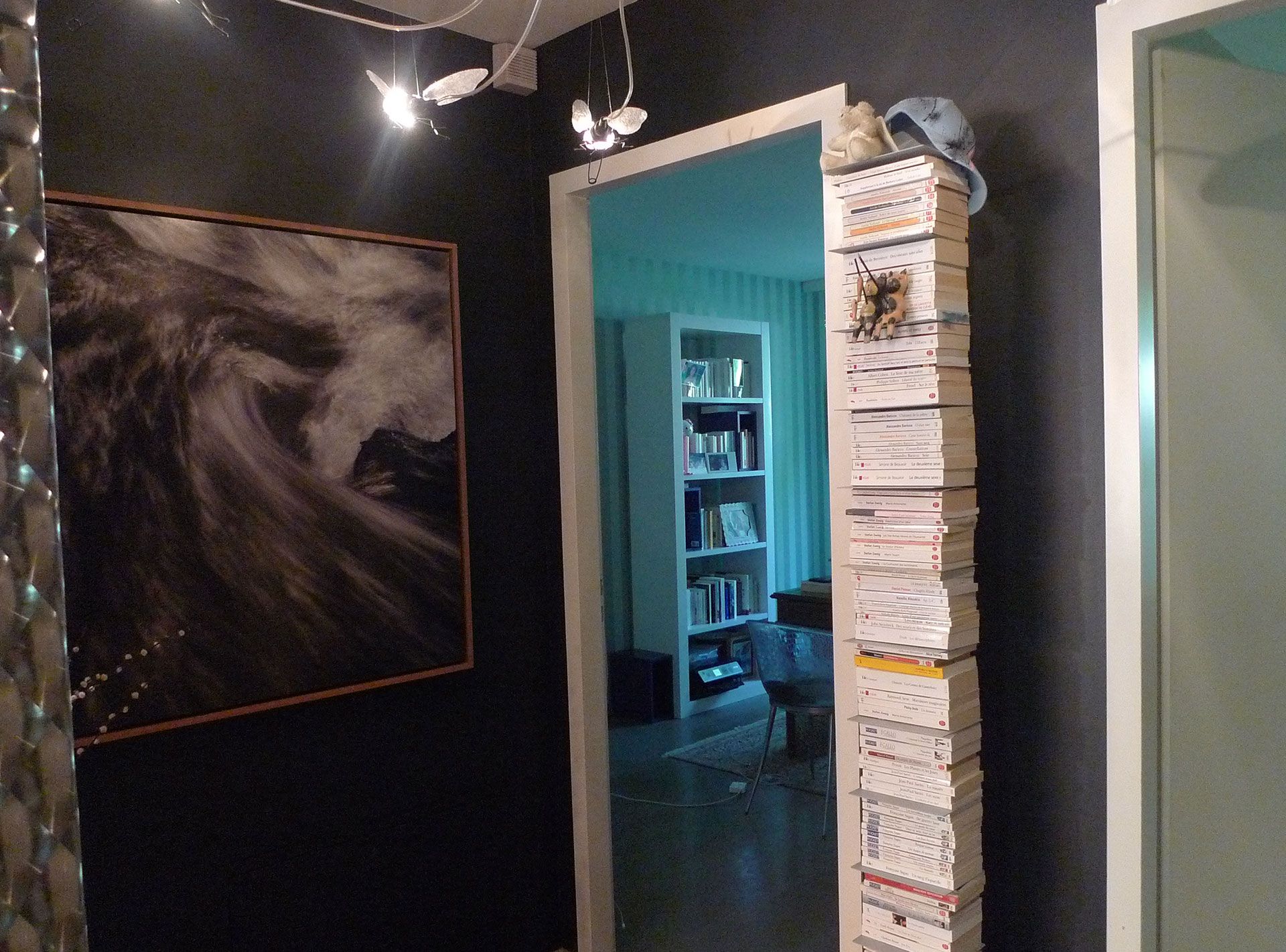 couloir et armoire de livre dans appartement carouge, réalisé par un architecte