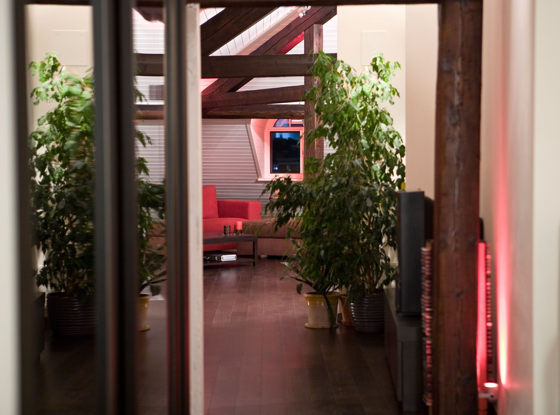 Plantes vertes depuis le couloir de ce duplex rénové par l'architecte d'intérieur Anne-Laure Ferry-Adam