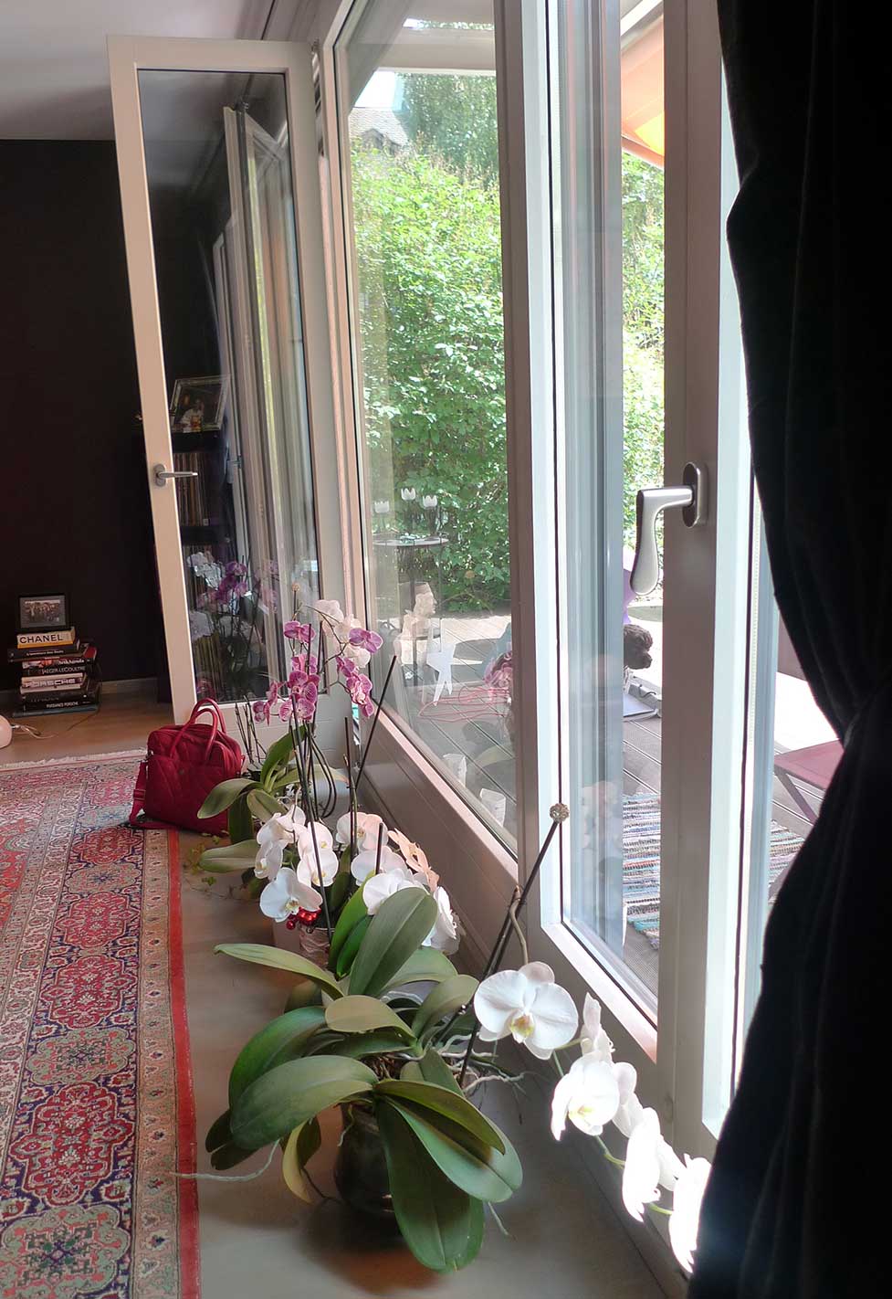 orchidée du salon classique par un architecte à genève